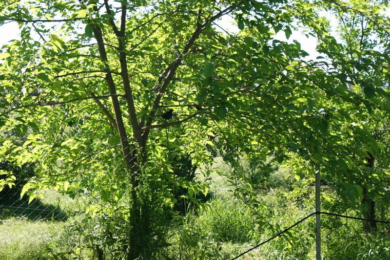 Complejo Rural El Prado Hotel Logrosán Zewnętrze zdjęcie